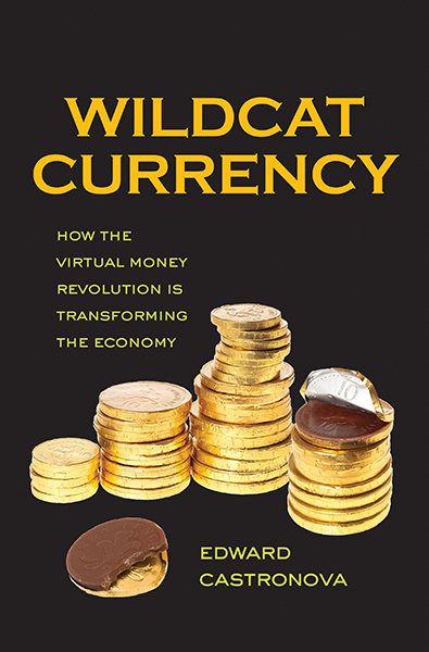 Wildcat Currency by Edward Castronova