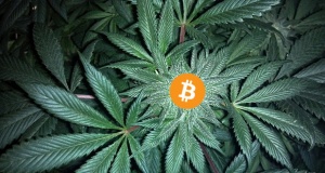 Bitcoin and Weed