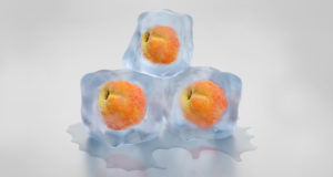 Freeze Peach